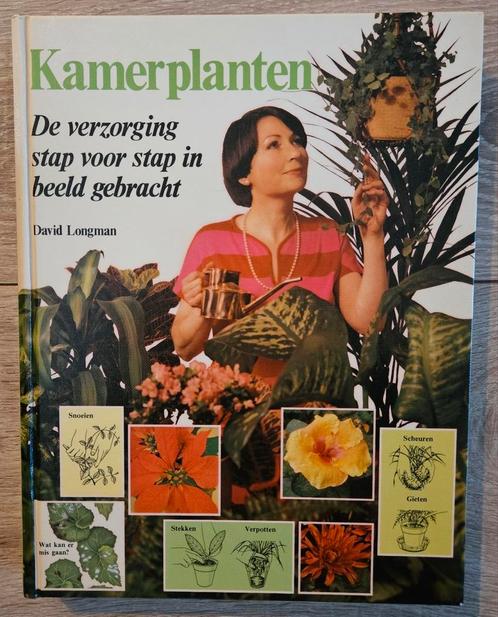 David Longman - Kamerplanten, Boeken, Wonen en Tuinieren, Zo goed als nieuw, Kamerplanten, Ophalen of Verzenden