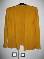 Oker vest 38/40 s/m, Verzenden, Zo goed als nieuw, Maat 38/40 (M), Geel
