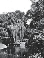 965051	Nijmegen	1966 Kronenburgerpark	Mooie oude kaart Onbes, Verzamelen, Ansichtkaarten | Nederland, Ophalen of Verzenden, 1960 tot 1980