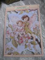 Groot Vintage Poesieplaatje uit 1996 - Flower Fairies Nr 1, Antiek en Kunst, Verzenden