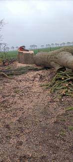 Gezocht bomen voor haardhout, Tuin en Terras, Ophalen of Verzenden, Overige houtsoorten