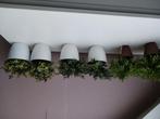 6 ikea  kunstplanten, Ophalen, Zo goed als nieuw