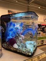 Biorb aquarium 30L inclusief alle toebehoren, Dieren en Toebehoren, Vissen | Aquaria en Toebehoren, Ophalen of Verzenden, Zo goed als nieuw