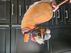 Hobbyhorse a4, Dieren en Toebehoren, Ophalen of Verzenden, Zo goed als nieuw
