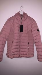 Airforce jas, Maat 38/40 (M), Airforce, Nieuw, Ophalen of Verzenden