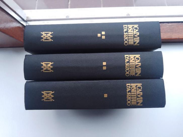 Institutie (3 dln.) - Johannes Calvijn, Boeken, Godsdienst en Theologie, Gelezen, Christendom | Protestants, Ophalen of Verzenden
