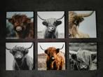 Set luxe onderzetters Hooglanders 6 stuks, Ophalen of Verzenden, Nieuw, Glas of Kopje