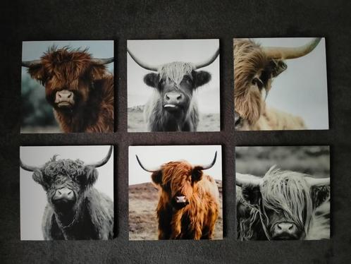 Set luxe onderzetters Hooglanders 6 stuks, Huis en Inrichting, Woonaccessoires | Onderzetters, Nieuw, Glas of Kopje, Ophalen of Verzenden