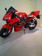 Honda cbr 600rr, Motoren, Motoren | Honda, Particulier