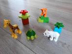 Lego / Duplo jonge dieren, Ophalen of Verzenden, Zo goed als nieuw, Complete set, Duplo