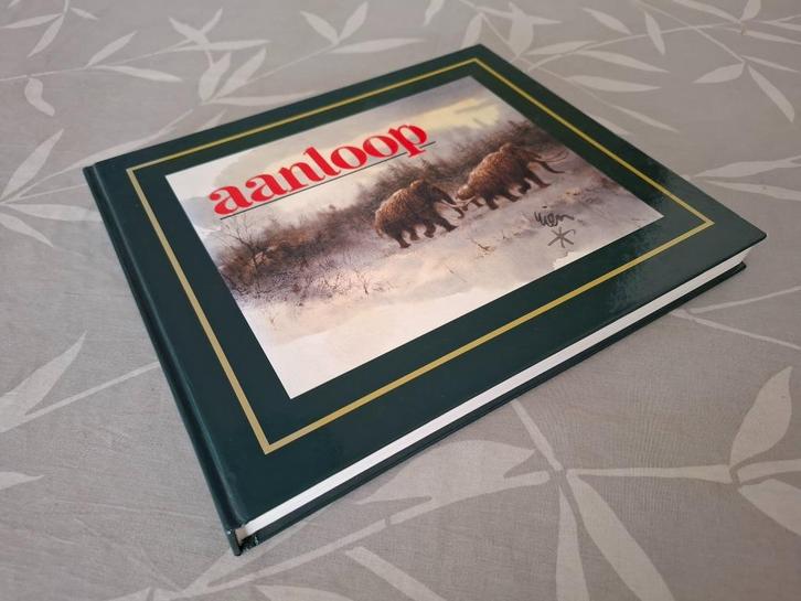 Rien POORTVLIET: AANLOOP (over Wild en Jacht), Boeken, Kunst en Cultuur | Beeldend, Zo goed als nieuw, Schilder- en Tekenkunst