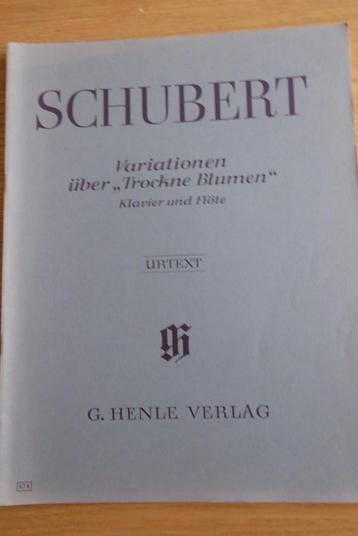 Variations on “Trockne Blumen” e minor op. post. 160 D 802 beschikbaar voor biedingen