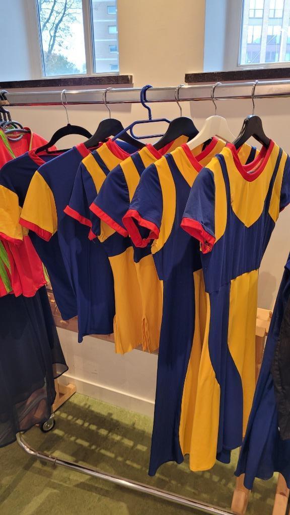 Blauwe-gele dans(kostuums), Kleding | Dames, Carnavalskleding en Feestkleding, Gedragen, Kleding, Carnaval, Maat 36 (S), Ophalen of Verzenden