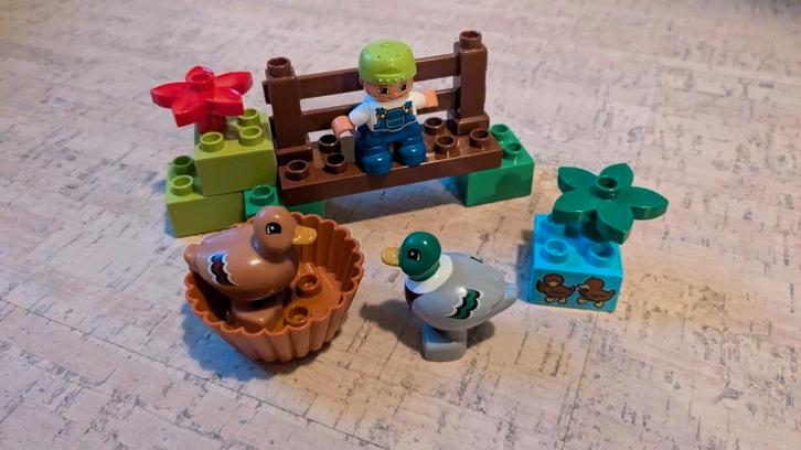 Duplo 10581 Bos Eenden Compleet, Kinderen en Baby's, Speelgoed | Duplo en Lego, Gebruikt, Duplo, Complete set, Ophalen of Verzenden