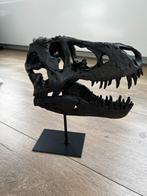 T-Rex Schedel 1/10 Schaal Model, Ophalen of Verzenden, Nieuw, Dier