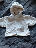 Kiabi vestje met capuchon maat 50, Kinderen en Baby's, Babykleding | Maat 50, Kiabi, Ophalen of Verzenden, Zo goed als nieuw, Truitje of Vestje