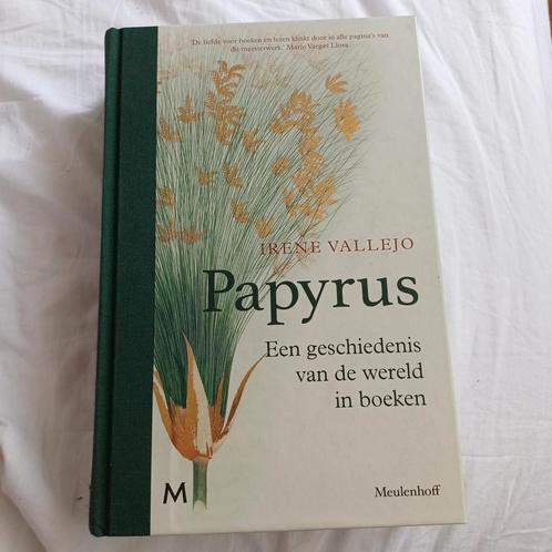 Irene Vallejo - Papyrus, Boeken, Overige Boeken, Zo goed als nieuw, Ophalen of Verzenden