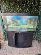 aquarium, Ophalen, Gebruikt, Leeg aquarium