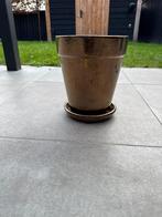 Vaas, Overige kleuren, Ophalen of Verzenden, Minder dan 50 cm, Glas