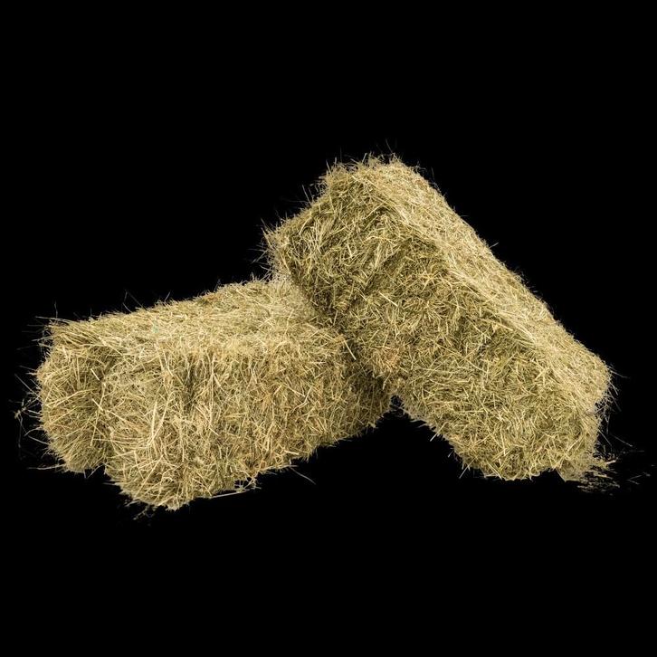 Kleine baaltjes hooi  te koop, Dieren en Toebehoren, Dierenvoeding, Vee, Ophalen of Verzenden