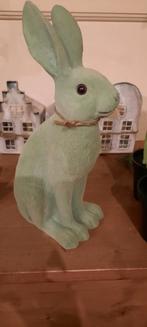 Mooie kleur haas, Ophalen of Verzenden, Zo goed als nieuw