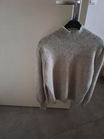 Trui dames, Maat 42/44 (L), Ophalen of Verzenden, Grijs, Bruuns bazaar
