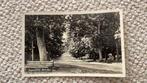 Ansichtkaart Appelscha Duinweg 1955. 915, Ophalen of Verzenden, 1940 tot 1960, Gelopen, Friesland