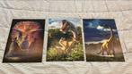 3D posters van dinosaurussen 39,5 x 29,5 cm, Ophalen of Verzenden, Zo goed als nieuw, Wanddecoratie