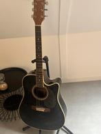 Akoestische gitaar (semi), merk segovia, 1 snaar los, Muziek en Instrumenten, Snaarinstrumenten | Gitaren | Akoestisch, Ophalen