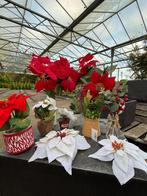 Mix partij, Ophalen, Nieuw