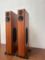 Fantastische Audio Physic Virgo 3, Zo goed als nieuw, 120 watt of meer, Front, Rear of Stereo speakers, Ophalen