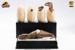 ECC Jurassic Park Statue Hatching T-Rex, Verzamelen, Ophalen of Verzenden, Nieuw, Film, Beeldje, Replica of Model