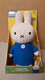 Speelgoed -Nijntje, Ophalen of Verzenden, Gebruikt, Jongen of Meisje