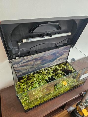 Tetra led aquarium compleet met allerlei soorten vissen beschikbaar voor biedingen