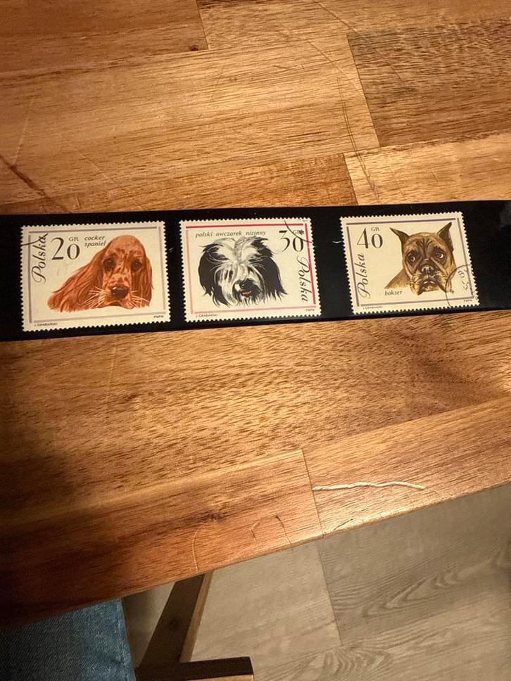 Poolse Postzegels met Honden, Antiek en Kunst, Antiek | Wandborden en Tegels, Ophalen of Verzenden