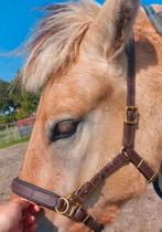 Bitloos hoofdstel sidepull cob bruin, Dieren en Toebehoren, Paarden en Pony's | Hoofdstellen en Tuigage, Ophalen of Verzenden