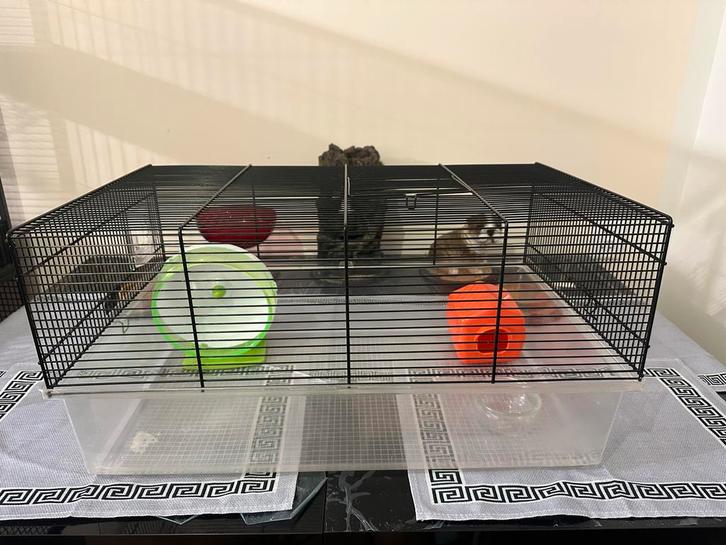 Ferplast Favola Koi Hok Knaagdier Hamster Gerbil Muizen, Dieren en Toebehoren, Knaagdieren en Konijnen | Hokken en Kooien, Zo goed als nieuw