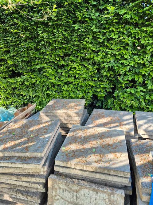 Gratis af te halen: nog 12 betontegels, Tuin en Terras, Tegels en Klinkers, Gebruikt, Terrastegels, Beton, 10 m² of meer, Ophalen