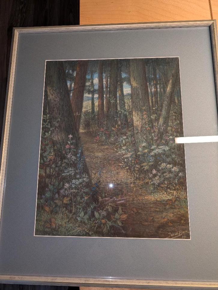 Jan de Boer kunstschilder; bosgezicht 1929 – pastelkrijt, Antiek en Kunst, Kunst | Schilderijen | Klassiek, Ophalen