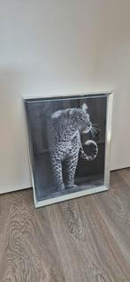 Schilderij: Elegante Luipaard in Zwart-Wit, Huis en Inrichting, Ophalen, Minder dan 50 cm, Zo goed als nieuw, Schilderij