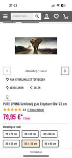 Glazen schilderij olifant, Eén persoon, Overige soorten