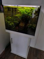 Mooie witte complete Lido 200 aquarium, Dieren en Toebehoren, Vissen | Aquaria en Toebehoren, Ophalen of Verzenden, Gebruikt, Overige typen