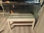 Super mooi terraium met toebehoren te koop, Ophalen, Zo goed als nieuw, Terrarium of Paludarium