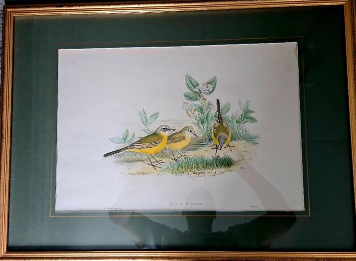 2 x schilderij, Antiek en Kunst, Kunst | Schilderijen | Klassiek, Ophalen of Verzenden