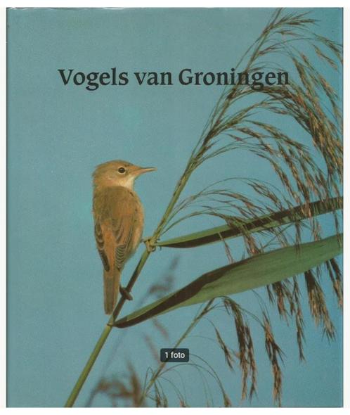 Vogels van Groningen - F.J. Boekema e.a., Boeken, Natuur, Zo goed als nieuw, Vogels, Ophalen of Verzenden