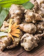 Aardperen biologisch - Culinaire delicatesse, Verzenden, Voorjaar, Volle zon, Zaad