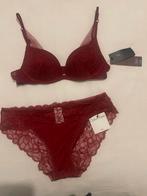 Nieuwe Calvin Klein Lingerieset Bordeaux, Kleding | Dames, Ondergoed en Lingerie, Ophalen of Verzenden, Rood, Setje