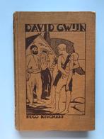David Gwijn - Hugo Kingmans, Antiek en Kunst, Ophalen of Verzenden, Hugo Kingmans