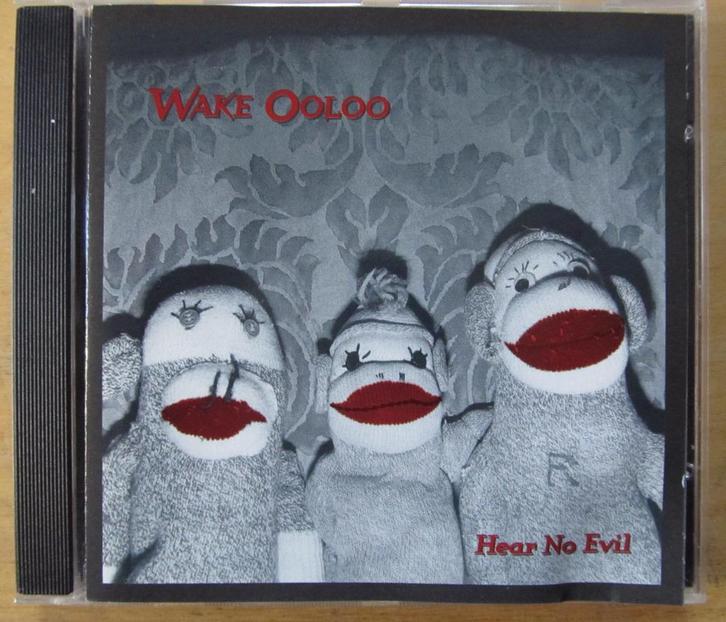 CD Wake Ooloo Hear no evil (Feelies), Cd's en Dvd's, Cd's | Rock, Zo goed als nieuw, Poprock, Ophalen of Verzenden
