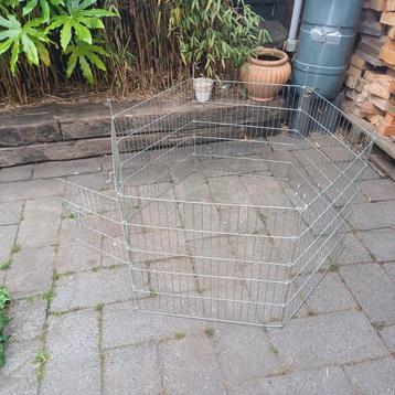 konijnen-cavia-kitten ren beschikbaar voor biedingen